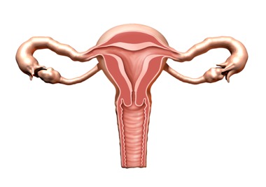 endometrium rák nhs)