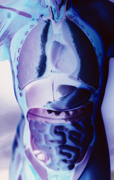 Giardia nhs uk. siesta-shoes.hu – … sportközpontú egészségtudatos nevelés…